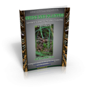 Initiez-vous à la phytothérapie grâce à cet e-book gratuit !