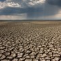 Claude Bourguignon : Alerte sur l&rsquo;état des sols