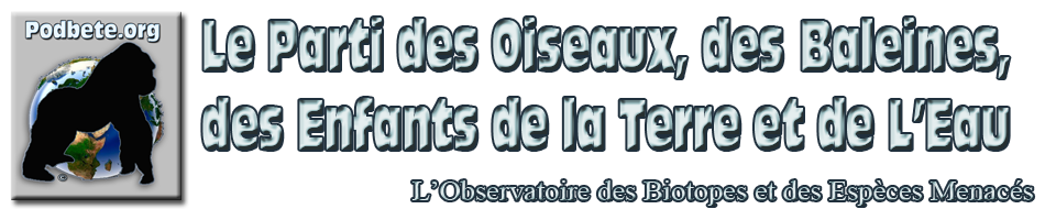 podbete collectif