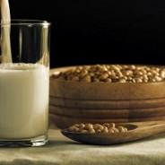 Les laits végétaux