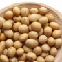 Bio&rsquo;bulle : Le soja