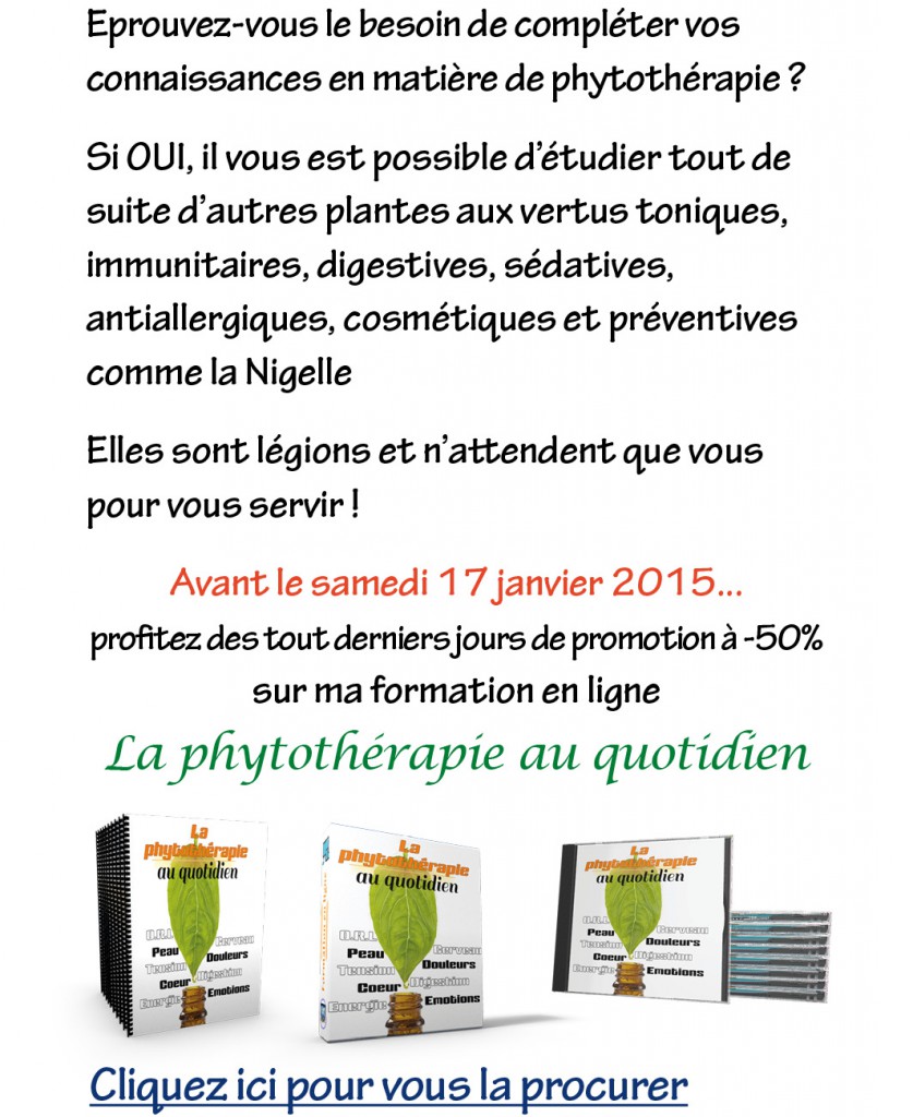 comment apprendre les plantes
