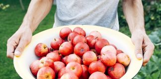 Pourquoi le bio est-il meilleur ? quels aliments sont les plus chargés en pesticides ?
