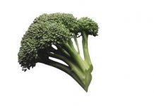 Le brocolis : saveur & santé !