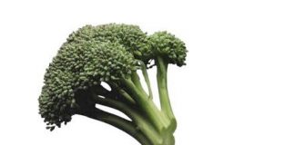 Le brocolis : saveur & santé !