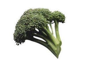 Le brocolis : saveur & santé !