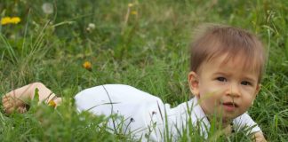 Les couches lavables bio les couches lavables bio