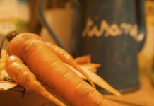 Les lobbies contre-attaquent ! Carotte bio et tisanes