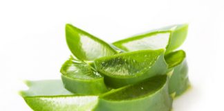 Utiliser l’aloe vera sous toutes ses formes aloe verra