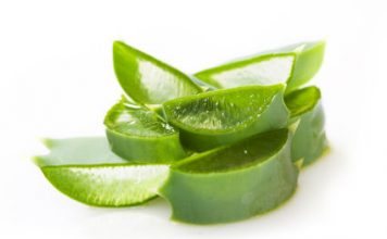 Utiliser l’aloe vera sous toutes ses formes aloe verra