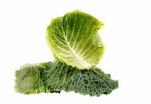 Terrine de légumes terrine de légumes au chou - recette végétarienne