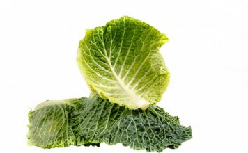 Terrine de légumes terrine de légumes au chou - recette végétarienne