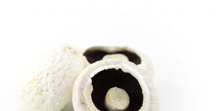 Champignons farcis au petit Suisse recette champignons farcis végétariens