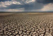 Claude Bourguignon : Alerte sur l’état des sols claude bourguignon alerte sur l'état des sols