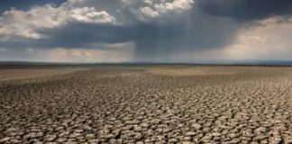 Claude Bourguignon : Alerte sur l’état des sols claude bourguignon alerte sur l'état des sols