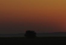 Demain se prépare aujourd’hui Réponses Bio