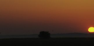 Demain se prépare aujourd’hui Réponses Bio