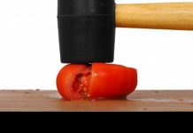 Tumeur de la prostate et soins naturels Ammorti de tomate