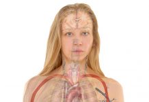 L’esprit de la naturopathie qu'est-ce que la naturopathie ?