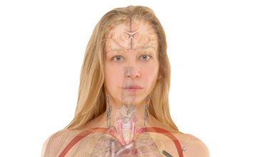 L’esprit de la naturopathie qu'est-ce que la naturopathie ?