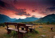 Le pique-nique recettes bio pique nique