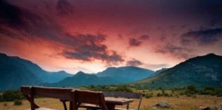 Le pique-nique recettes bio pique nique