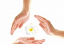 Touche pas à ma médecine ! responsable de sa santé avec les médecines naturelles