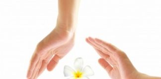 Touche pas à ma médecine ! responsable de sa santé avec les médecines naturelles