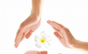 Touche pas à ma médecine ! responsable de sa santé avec les médecines naturelles