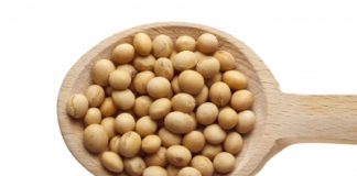 Le soja protéines de soja