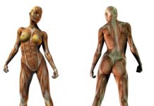 A quoi sert le silicium organique ? silicium