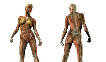 A quoi sert le silicium organique ? silicium