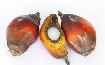 Le point sur l’huile de palme huile de palme
