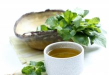 Les bonnes tisanes bio tisanes de plantes bio pour se soigner