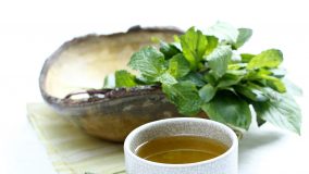 Les bonnes tisanes bio tisanes de plantes bio pour se soigner