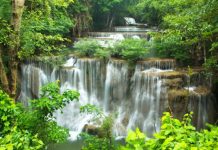 Prendre soin de sa flore intestinale flore intestinale et santé sur reponsesbio