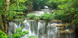 Prendre soin de sa flore intestinale flore intestinale et santé sur reponsesbio