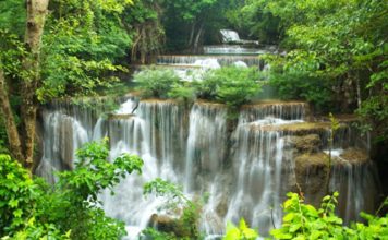 Prendre soin de sa flore intestinale flore intestinale et santé sur reponsesbio