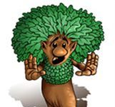 Une décharge s’acharne sur Brocéliande Sauvegarder broceliande