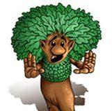 Une décharge s’acharne sur Brocéliande Sauvegarder broceliande