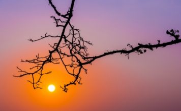 Et si on lisait bio ? Et si on lisait bio ?