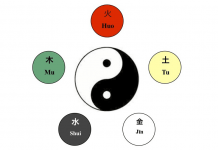 Les cinq éléments dans la médecine chinoise YinYangWuxing