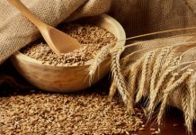 Vos céréales pour cet hiver Quelles céréales consommer cet hiver ?