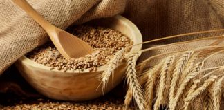 Vos céréales pour cet hiver Quelles céréales consommer cet hiver ?