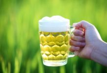 La bière… sans concession La bière biologique a-t-elle des vertus pour la santé ?