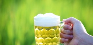 La bière… sans concession La bière biologique a-t-elle des vertus pour la santé ?