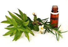 22 maladies que vous pouvez traiter avec des antibiotiques naturels Antibiotiques naturels