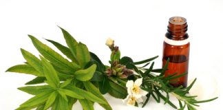 22 maladies que vous pouvez traiter avec des antibiotiques naturels Antibiotiques naturels