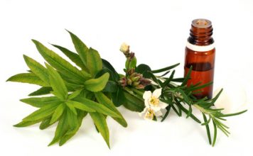 22 maladies que vous pouvez traiter avec des antibiotiques naturels Antibiotiques naturels