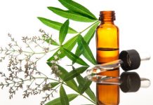 Des teintures-mères pour tous vos troubles ORL phytothérapie pour soigner troubles ORL